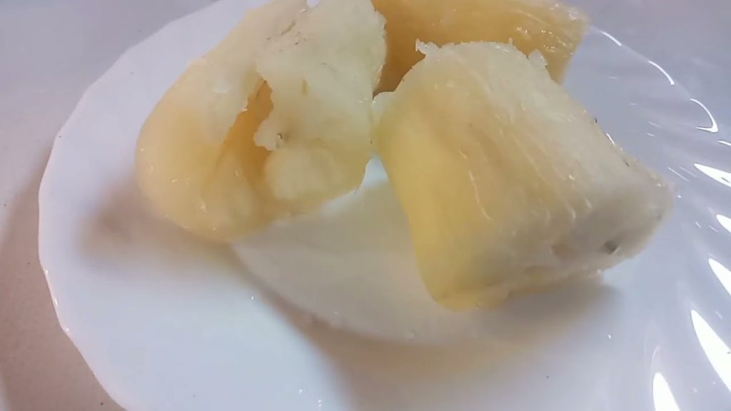 que pasa si mi perro come yuca