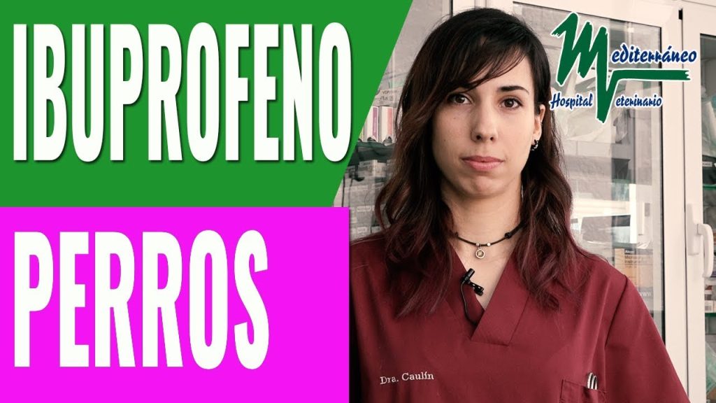 que pasa si mi perro ha mordido un ibuprofeno