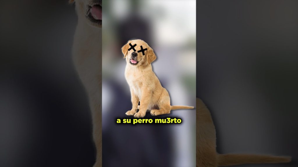 que pasa si mi perro mata al gato del vecino