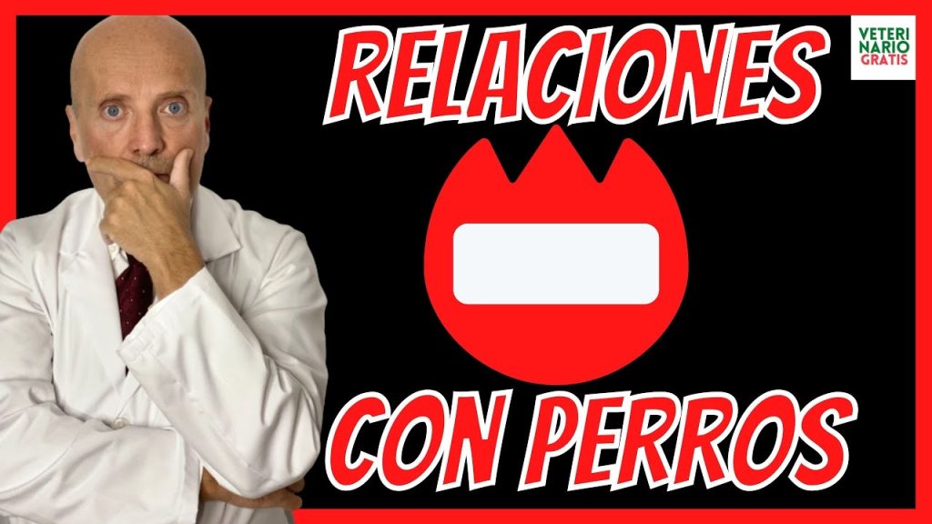 Qué pasa si mi perro me ve haciendo el amor: impacto y comportamiento canino 1 que pasa si mi perro me ve haciendo el amor
