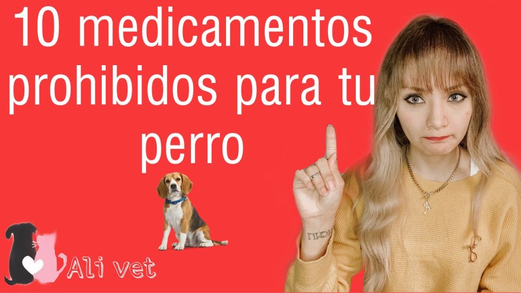 ¿Qué hacer si mi perro ingiere pastillas para chupar? Guía de emergencia y prevención 1 que pasa si mi perro se come pastillas para.chupar