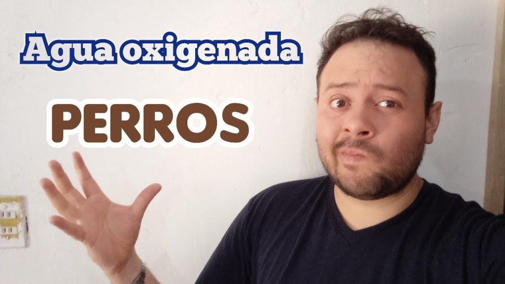 Qué hacer si mi perro ingiere agua oxigenada: Guía de primeros auxilios y consejos veterinarios 1 que pasa si mi perro toma agua oxigenada