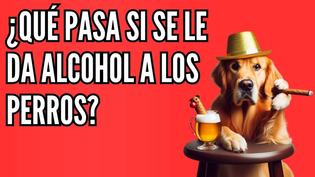que pasa si mi perro toma alcohol etilico