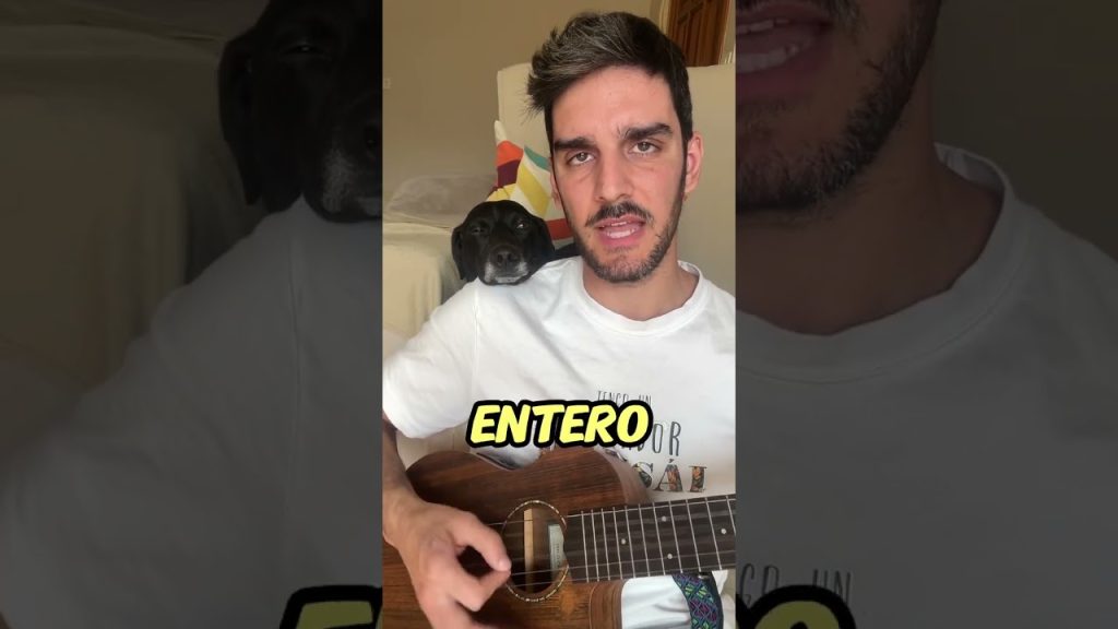 Mimar en Exceso a tu Perro: Posibles Consecuencias y Equilibrio Adecuado 1 que pasa si mimo mucho a mi perro